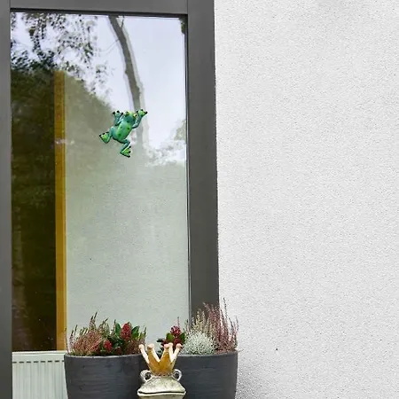 Bed & Breakfast Froschkoenig *