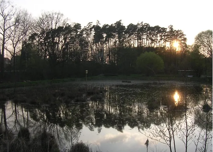 Froschkoenig 3*